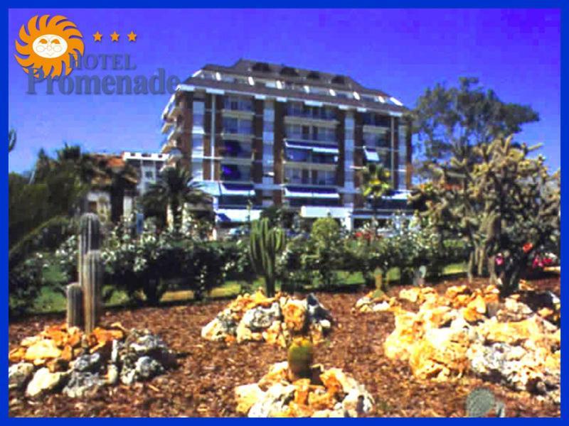 Hotel Promenade Porto SantʼElpidio Екстериор снимка