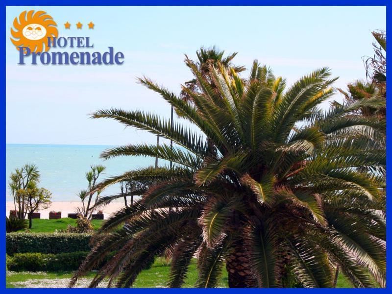 Hotel Promenade Porto SantʼElpidio Екстериор снимка